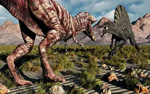 Spinosaurus: A confrontation between a T Rex and a Spinosaurus dinosaur