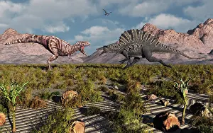 Spinosaurus: A confrontation between a T Rex and a Spinosaurus dinosaur