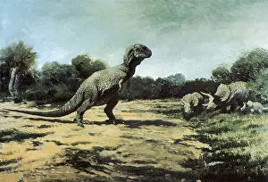 Defends: Confronting Dinosaurs