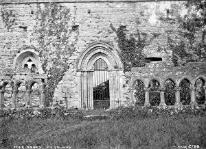 Cloisters: Cong Abbey, Co. Galway
