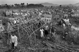 Congoleans: CONGO, Democratic Republic of the. Kitchanga