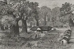 Colonisation: The Congo - First main Colonial Post established in Kinshasa