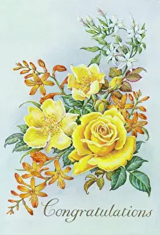 Sutters: Congratulations Yellow Roses with Montbretia