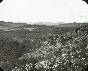 Roque: Conk Woods, San Roque