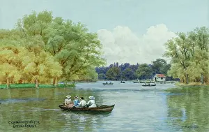 Epping: Connaught Water, Epping Forest, Essex