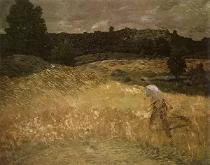 Connecticut: A Connecticut Grainfield