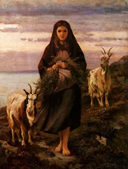 Goats: A Connemara Girl