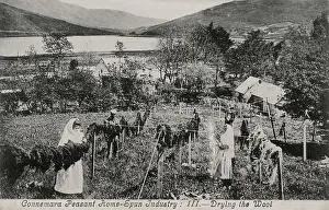 Connemara: Connemara Peasant Home-Spun Industry - Drying Wool