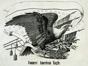 Conners: Conner's American eagle