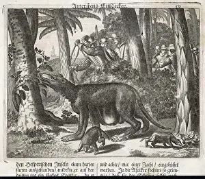 Conquistadores: CONQUISTADORES HUNTING