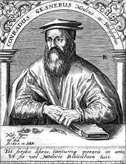 Gesner: CONRAD GESNER