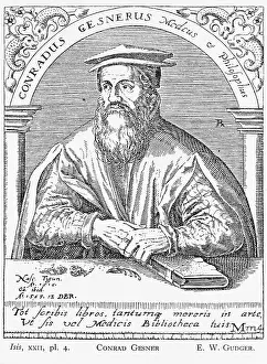 Gessner: Conrad Gessner (1516-1565)