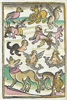 Siren: Conrad of Megenberg, Mythical Creatures, 15th Century