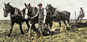 Arable: Conscientious objectors on Dartmoor