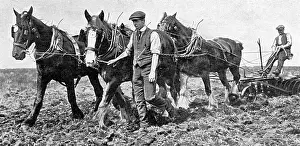 Arable: Conscientious objectors on Dartmoor