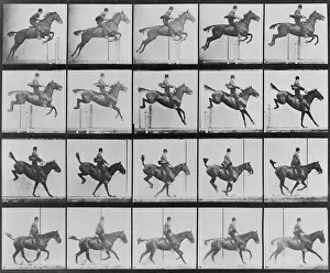 Eadweard: Consecutive images of man riding a horse. ?