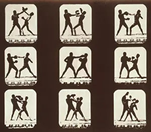 Attitudes: Consecutive images of two men boxing. From ?