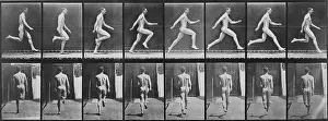 Eadweard: Consecutive images of a nude man running. ?