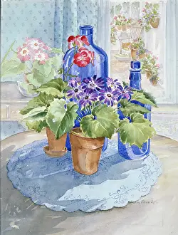 Farrier: Through to the Conservatory