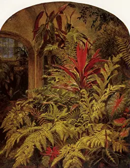 Trost: Conservatory