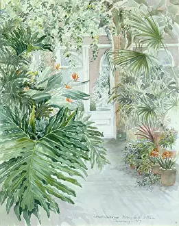 Farrier: Conservatory, Avery Hill