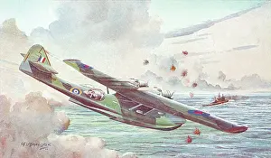 Consolidated Catalina