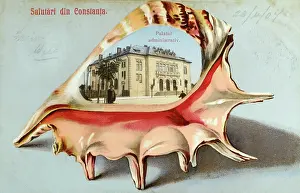 Conch: Constanta - Romania - Administrative Palace