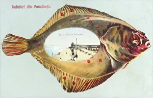 Constanta: Constanta - Romania - Mamaia Beach