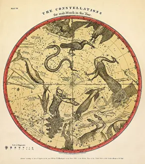 Representations: Constellation Chart