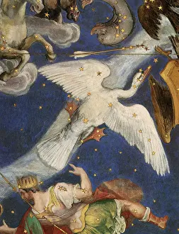 Pursuing: Constellation Cygnus