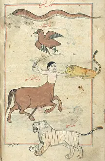 Constellations, 17th Century