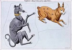 Stellar: Constellations of Canis Major and Lupus. From