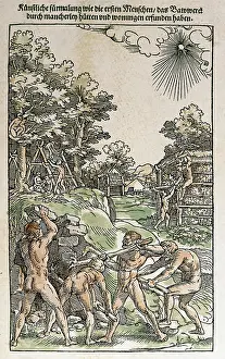 Libri: Construction of the first humans