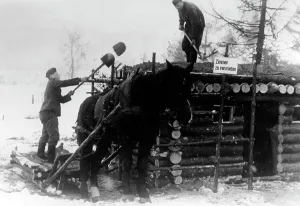 Sleigh: Construction of a hut at Lake Ilmen, 1942