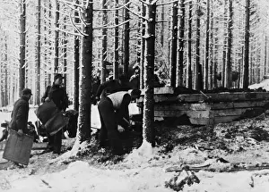 Ardennes: Construction of a wooden bunker during the Battle of the