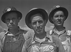Hardhats: Construction workers at Watts Bar Dam Tennessee. ?