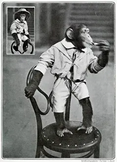 Oct19: Consul the monkey