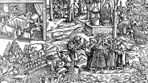 Urine: Consultation on German Herbarium, 16th Century