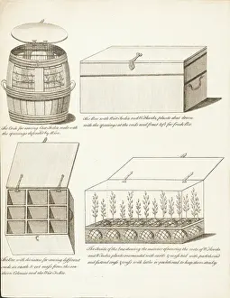 Muscipula: Containers for transporting & storing plants & seeds