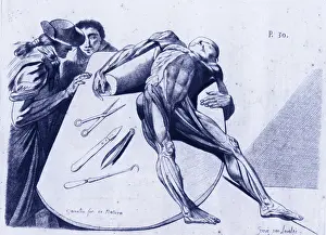 Dissected: Contemplating a Cadaver