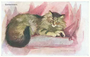 Geographia: Contented Cat