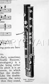 Bassoon: CONTRAGOTTO