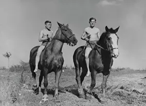 Reichsarbeitsdienst: Convalescent Company for Horses - Eastern Front, 1941