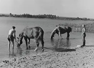 Reichsarbeitsdienst: Convalescent Company for Horses - Eastern Front, 1941