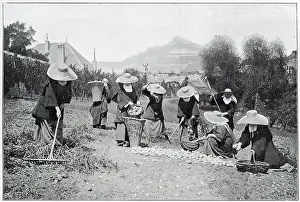 Habits: Convent from Within - Carmelite 1904