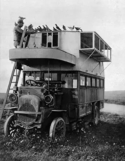 A converted bus for pigeons