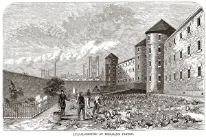 Millbank: Convicts burial ground, Millbank Prison