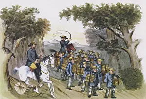 Kilogrammes: Convicts in Tasmania made to carry heavy loads