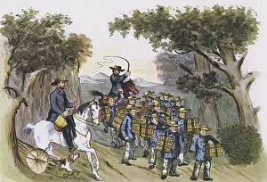 Kilometres: Convicts in Tasmania made to carry heavy loads