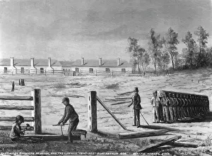 Convicts: Convicts at work
